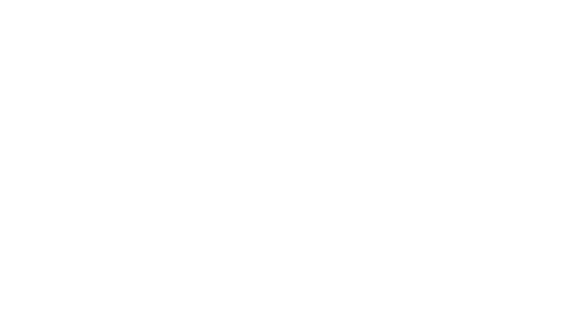 Orbit